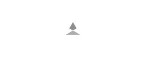 Brave Logo 1